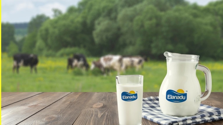 എളനാടിൽ ജോലി ചെയ്യാം