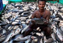 മത്സ്യഫെഡിൽ സ്ഥിര ജോലി നേടാം