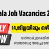 Kerala Job Vacancies 2026: Store Manager, Sales Executive & More – 12+ Urgent Retail Openings